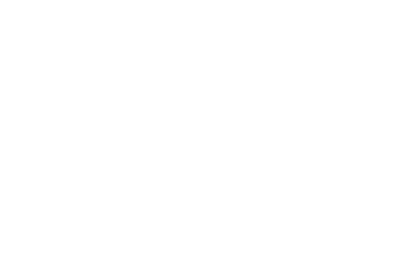 logo SDK Freja